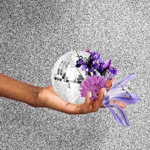 Pochette de New Me, Same Us Remix EP de Little Dragon