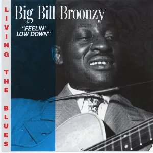 Pochette de Feelin' Low Down de Big Bill Broonzy