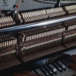 Pochette de HAP LIVE SESSION (version acoustique) de Médine