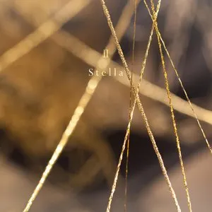 Pochette de The Best of Chouchou [2007–2017] II Stella de Chouchou