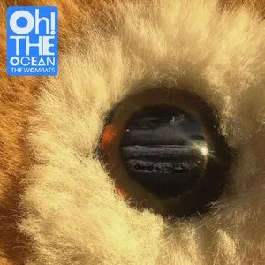 Pochette de Blood on the Hospital Floor de The Wombats