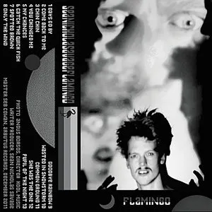 Pochette de Flamingo de Sean Nicholas Savage