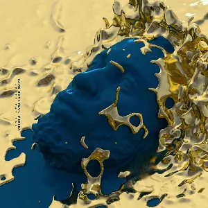 Pochette de Same Boat de Kojey Radical