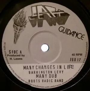Pochette Many Changes in Life / Many Changes in Life (dub)