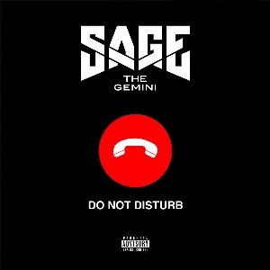 Pochette de Do Not Disturb de Sage the Gemini