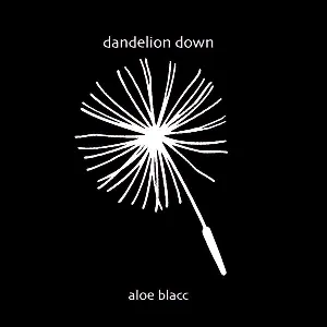 Pochette Dandelion Down