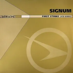Pochette de First Strike de Signum