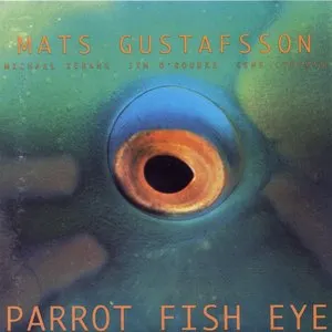 Pochette de Parrot Fish Eye de Mats Gustafsson