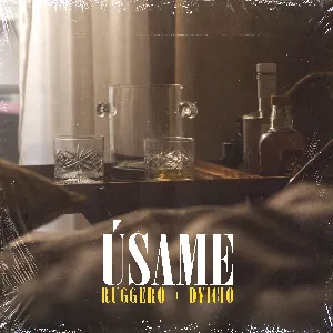 Pochette de Úsame de DVICIO