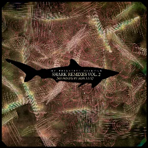 Pochette Shark Remixes, Volume 2: Remixes by Son Lux