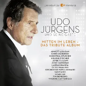 Pochette Mitten im Leben - Das Tribute Album