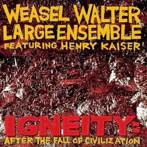 Pochette de Igneity: After the Fall of Civilization de Henry Kaiser