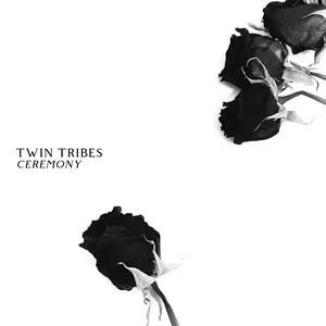 Pochette de Heart & Feather de Twin Tribes