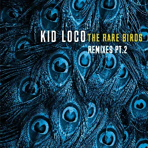 Pochette de The Rare Birds Remixes, Pt. 2 de Kid Loco