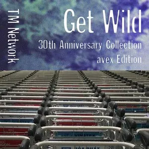 Pochette de GET WILD 30th Anniversary Collection - avex Edition de TM NETWORK
