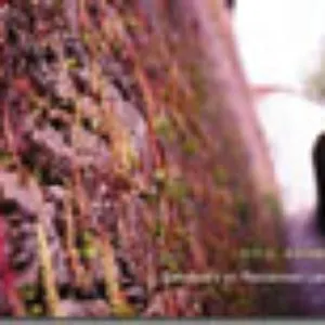 Pochette de Sanctuary on Reclaimed Land de Koji Asano