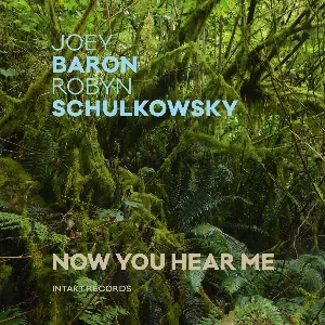 Pochette de Now You Hear Me de Joey Baron