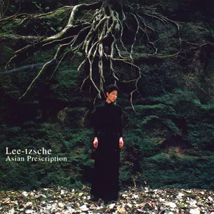 Pochette de Asian Prescription de Lee Tzsche