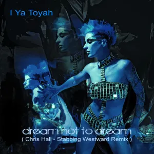 Pochette de Dream not to Dream (Chris Hall - Stabbing Westward Remix) de Stabbing Westward