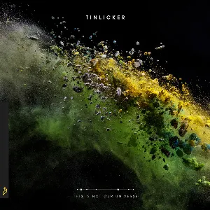 Pochette de This Is Not Our Universe de Tinlicker