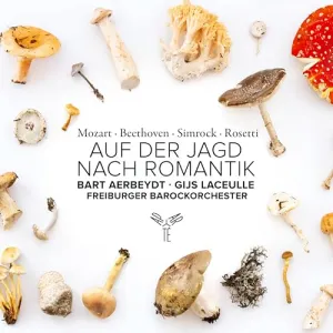 Pochette de Auf der Jagd nach Romantik de Freiburger Barockorchester - Gottfried von der Goltz