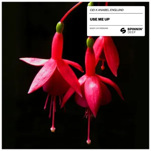 Pochette de Use Me Up de Anabel Englund - CID