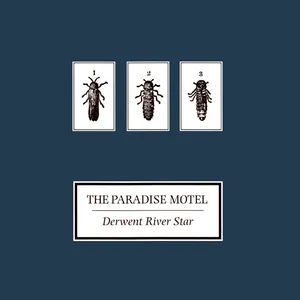 Pochette de Derwent River Star de The Paradise Motel