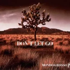 Pochette de DON'T LET GO de MONDO GROSSO