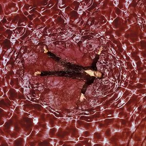 Pochette de Muse in Motion (remix) de Yodelice