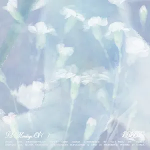 Pochette de A Montage of ( ) de VIVIZ