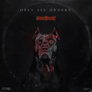 Pochette de Obey All Orders de DJ Mad Dog