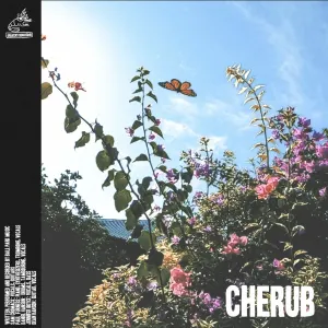 Pochette de Cherub de Ball Park Music