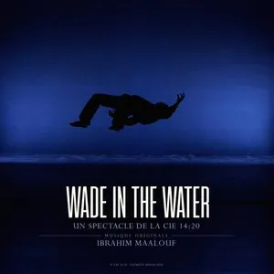 Pochette Wade in the Water