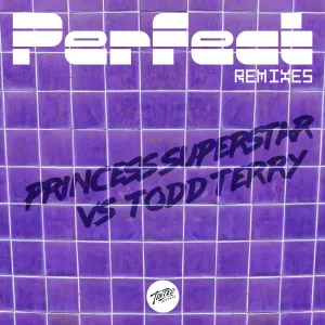 Pochette de Perfect 2020 (Todd Terry remix) de Todd Terry