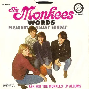 Pochette Pleasant Valley Sunday / Words