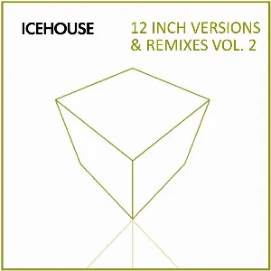Pochette 12 Inch Versions & Remixes Vol.2