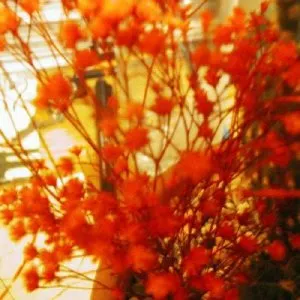 Pochette de Jump Math Cupboard EP de ilkae