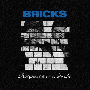 Pochette Bricks