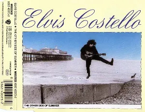 Pochette de The Other Side of Summer de Elvis Costello