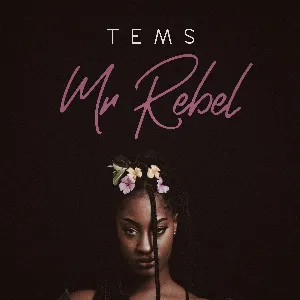 Pochette de Mr Rebel de Tems