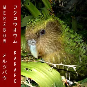 Pochette Kakapo