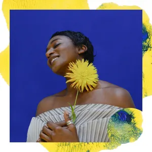 Pochette de Summer Meadows de ALA.NI