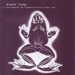 Pochette de The Wonderful and Frightening World of Black Lung de Black Lung