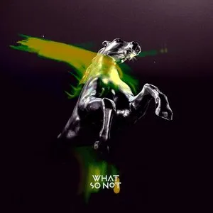 Pochette de Beautiful de What So Not