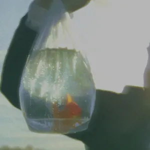 Pochette de Inefficient Love de Chet Faker