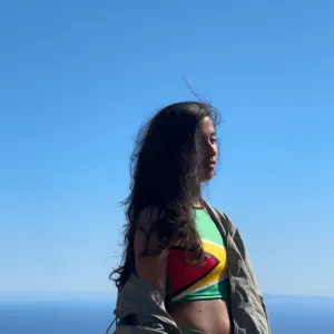 Pochette de Things I Used To Know de Anjulie