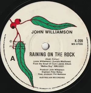 Pochette de Raining on the Rock de John Williamson