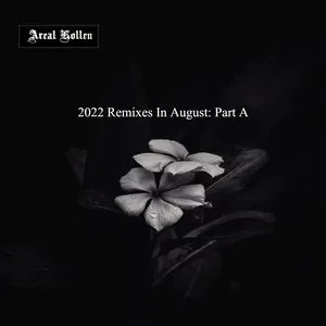 Pochette de 2022 Remixes in August: Part A de Areal Kollen
