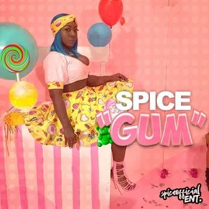 Pochette Gum