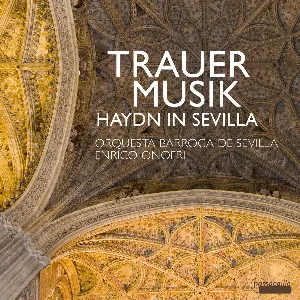 Pochette Trauermusik: Haydn in Sevilla